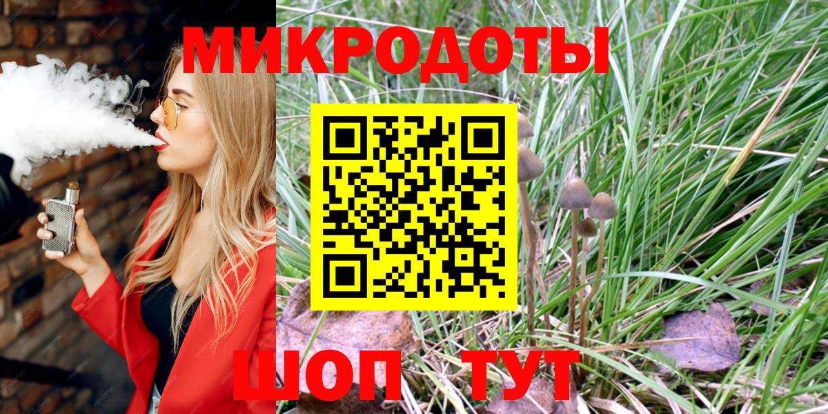 Камышин  купить наркотик  Вход с VPN  Галлюциногенные грибы прущие грибы  Галлюциногенные грибы Magic Shrooms 